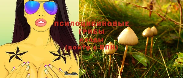 гашик Беломорск